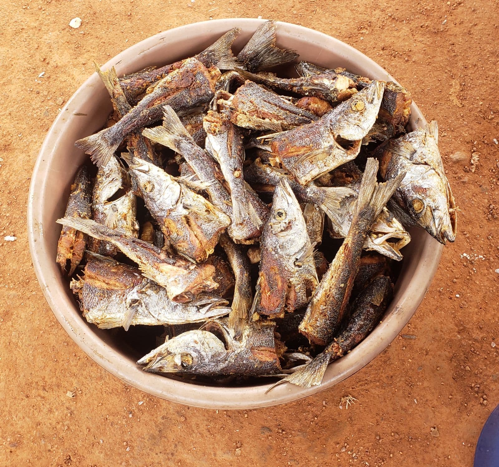 Dried fish at the market